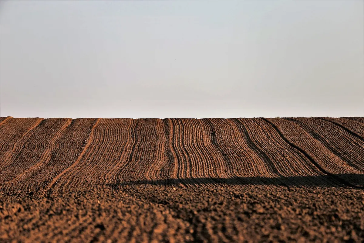 How to Spot Medieval Ridge and Furrow in a Modern Field