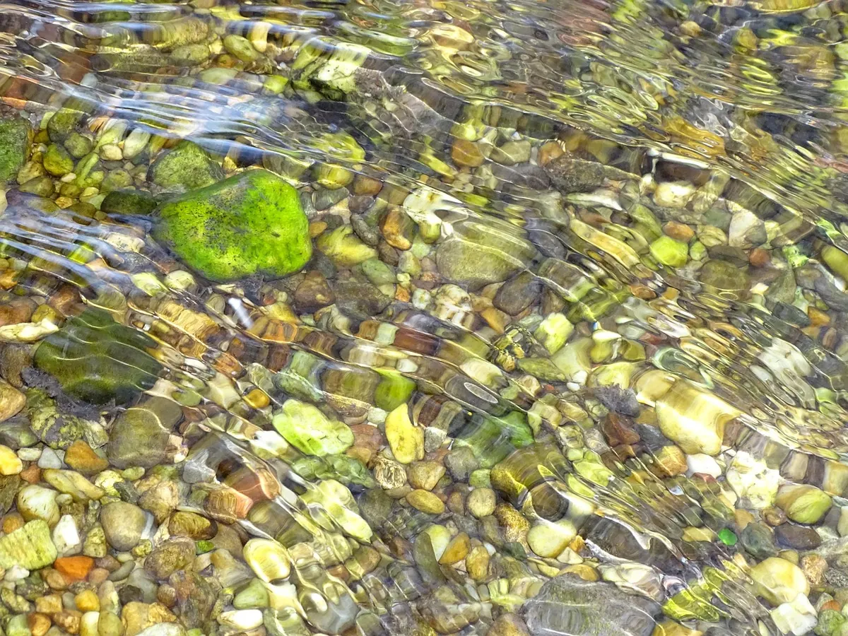 Why Chalk Streams Are So Clear: A Beginner's Explainer